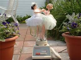 Every Day Is Special July 27 Houseplants and Barbie Dolls